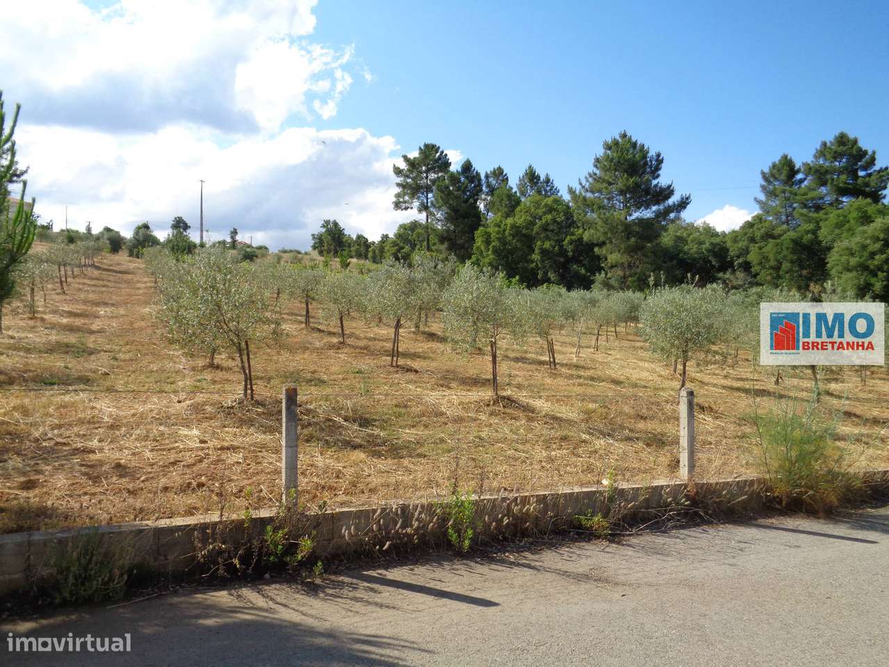 Lote de Terreno Agricola  - Dominguiso - Grande imagem: 5/13