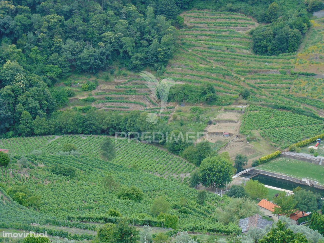 Quinta c/ vinha em produção em Santa Marta de Penaguião