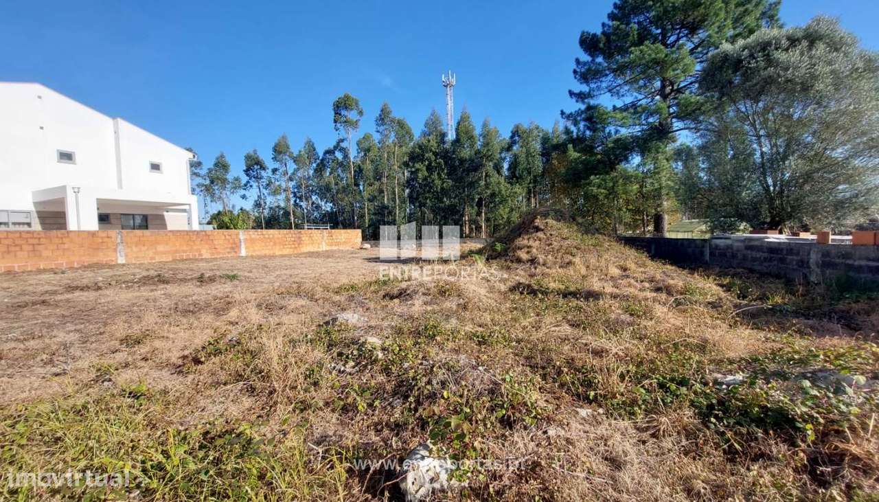 Lote - Forjães - Grande imagem: 3/30