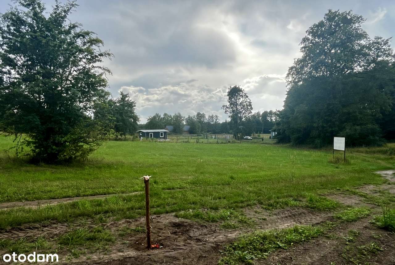 Fantastyczne 1.800 m2 w Puszczy Białej, z dec. WZ - Pełny obrazek: 4/12