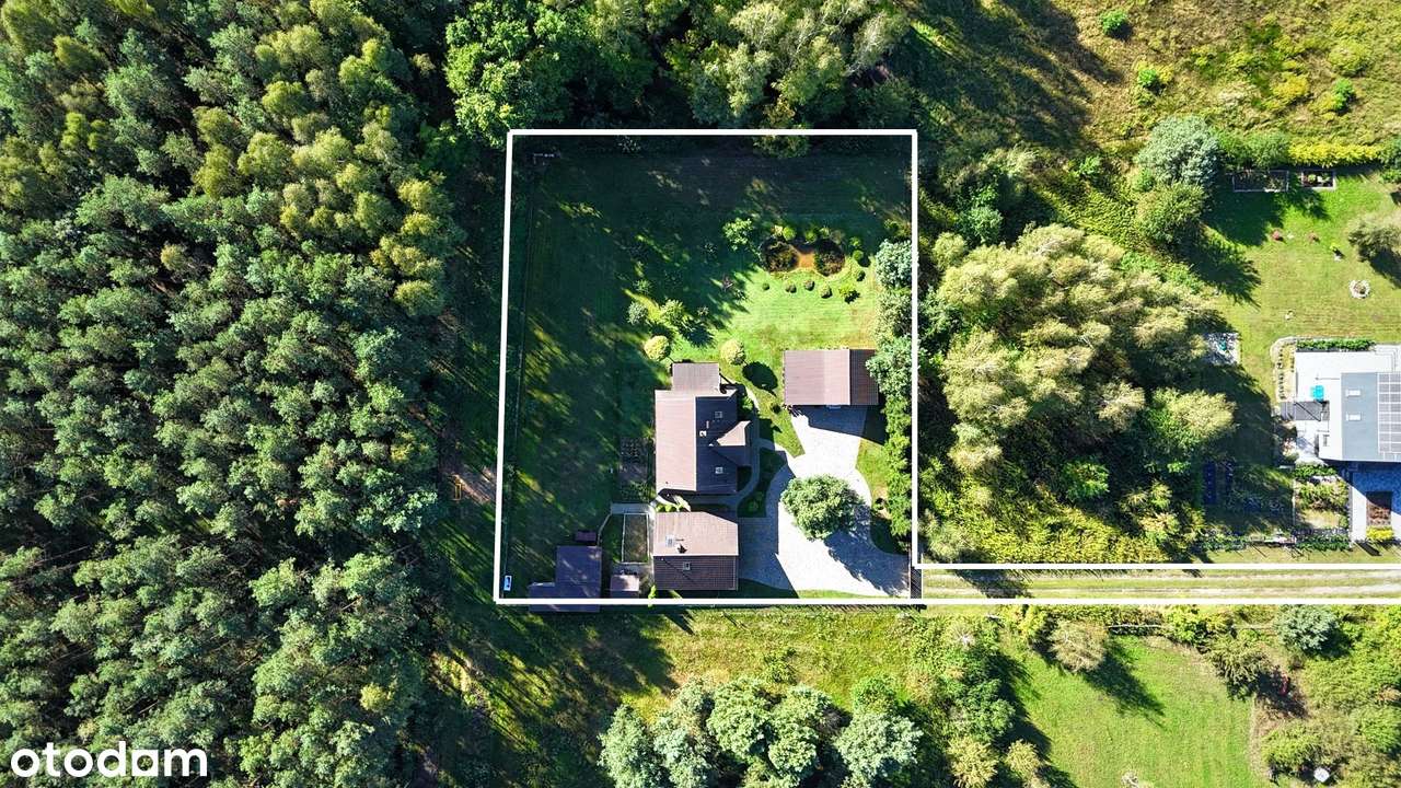 Dom z bali w sercu lasu / 2450m2 działki / Holendry, gm. Dobroszyce - Pełny obrazek: 4/19