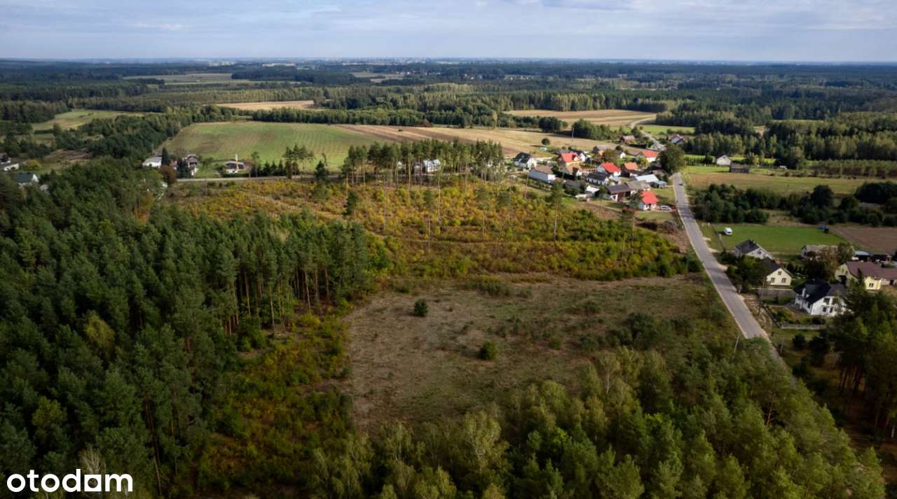 Działka rolno-leśna w centrum miejscowości Błędnica, 9,7142 ha-5