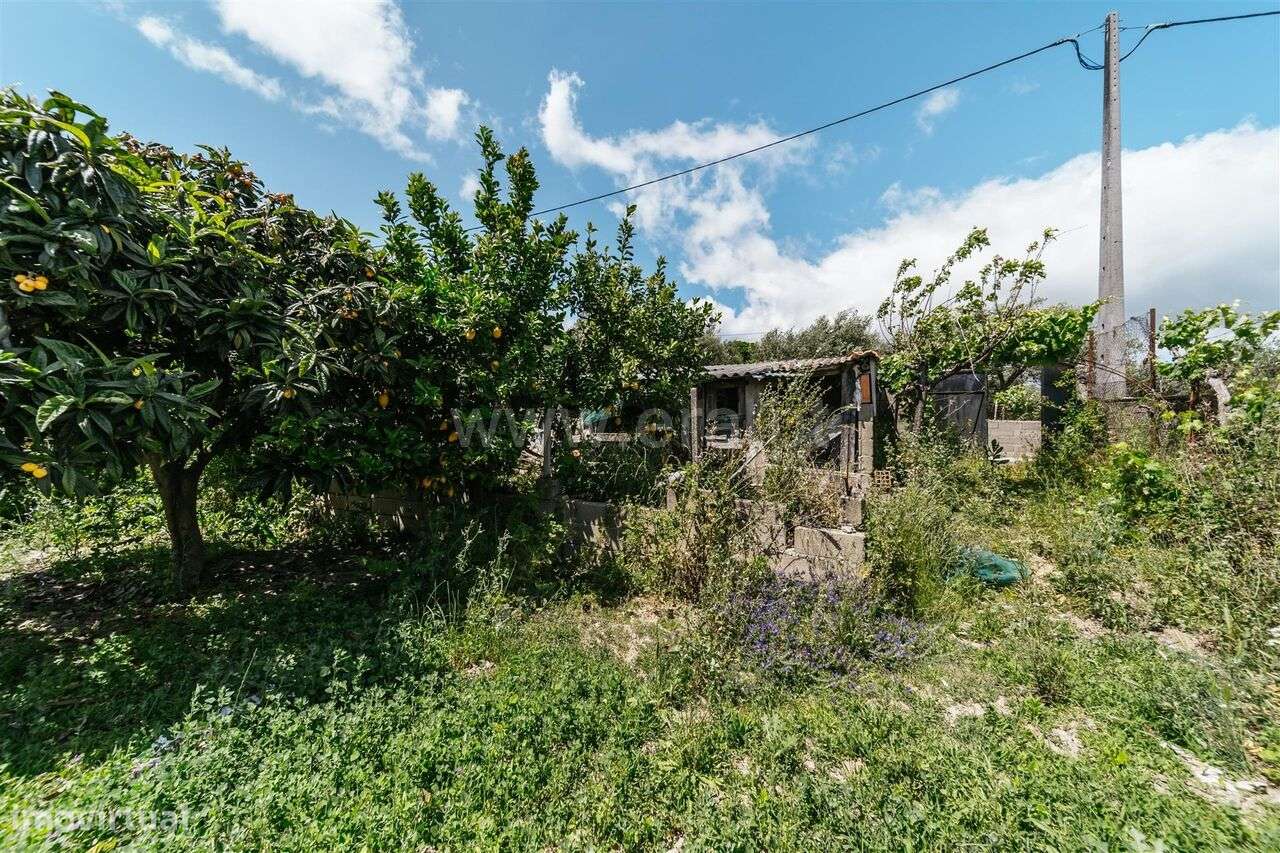 Lote / Fundão, Póvoa da Atalaia - Grande imagem: 5/7