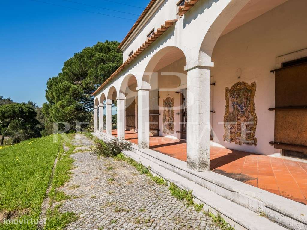 COUNTRY COTTAGE | Sesimbra-41