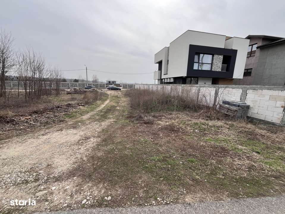 Teren de vanzare Cernica-Priveliste la Lac-Dubla Deschidere-Utilitati--4