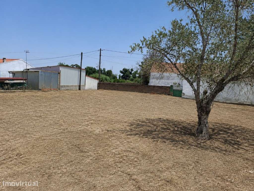 ARMAZÉM (Lote c/ 900 m²)-8
