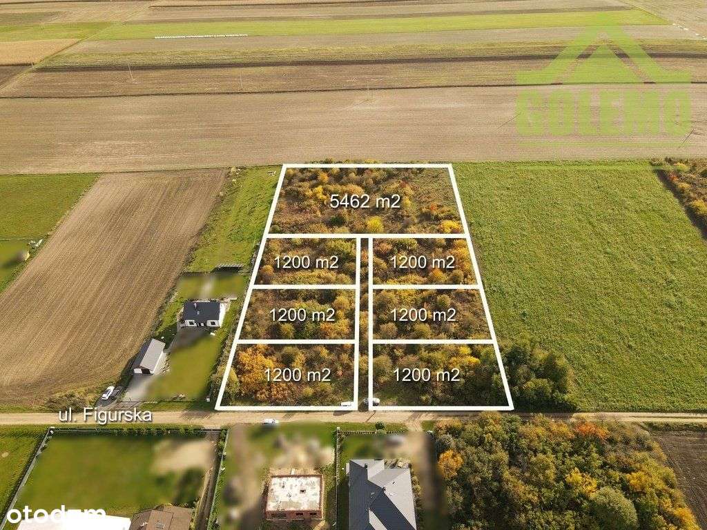 Działki budowlane / 1200m2 / Żuraw, gm. Janów-5