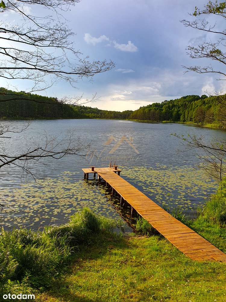 Prywatne jezioro 6 ha | Luksus natury - Pełny obrazek: 5/20