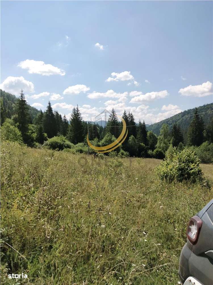 Teren de vanzare pt cabana pe Valea Ilvei - Imagine principală: 5/20