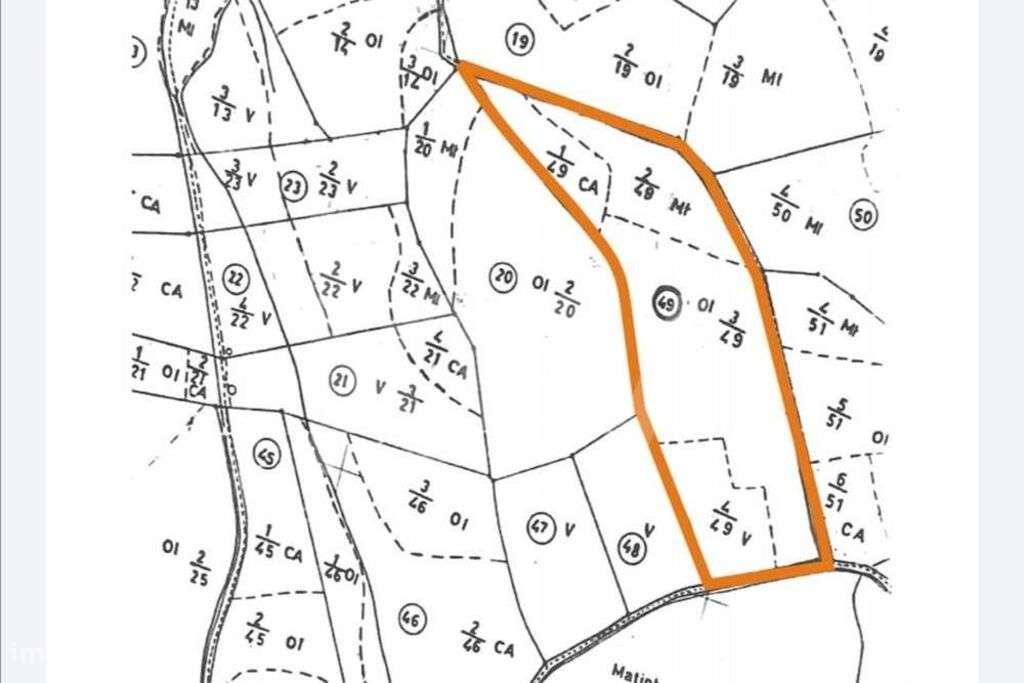 Almoster : Terreno Agrícola - Grande imagem: 2/8