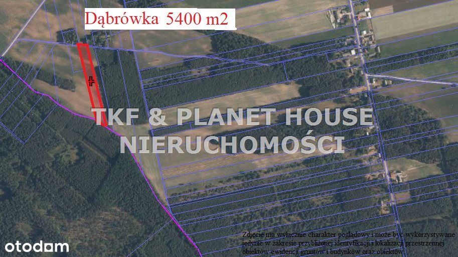 Działka 5400 m2 Dąbrówka gm.Czerniewice Mpzp