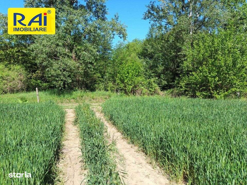 NOU! TEREN DE VIS HOREZU, ZONA TURISTICA 12 EURO/mp - Imagine principală: 4/12