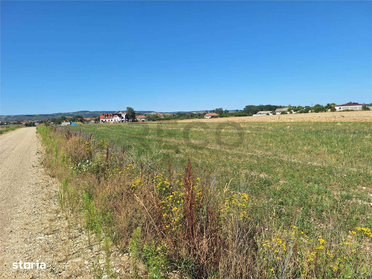 Reco, Teren intravilan Osorhei - Imagine principală: 4/8