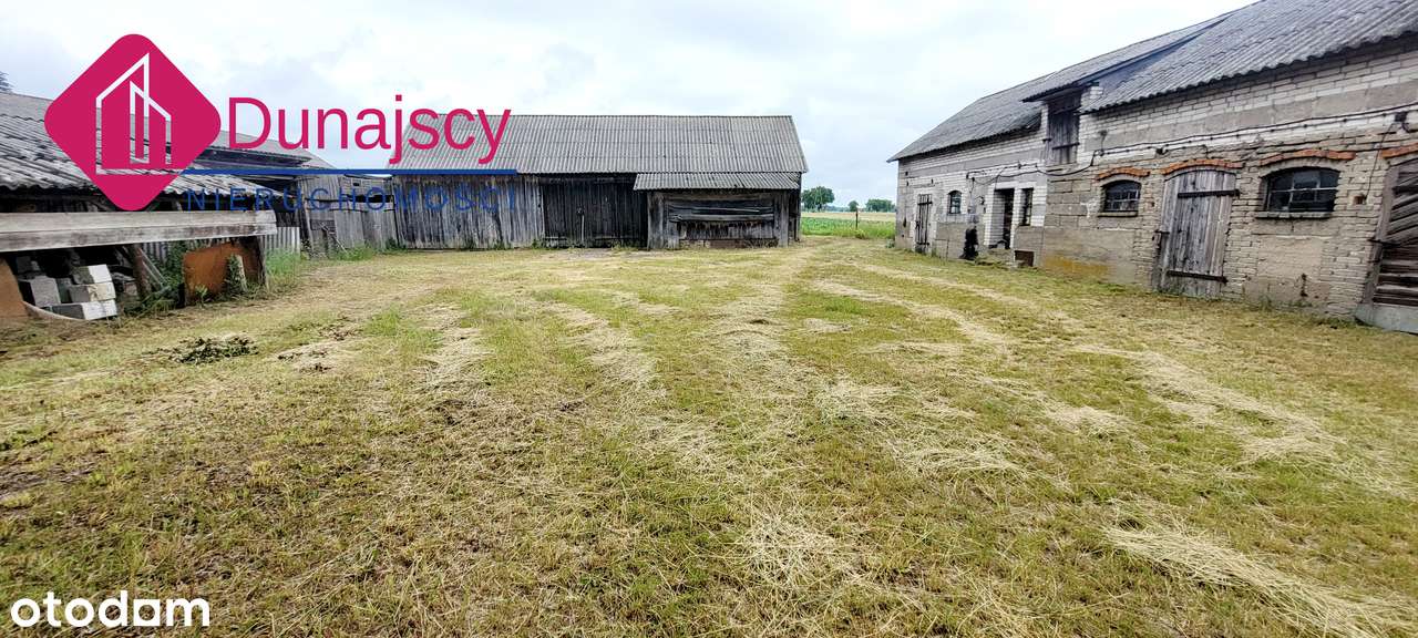 Siedlisko w Mdzewie pod Mławą, budynki gospodarcze plus dom! - Pełny obrazek: 5/20