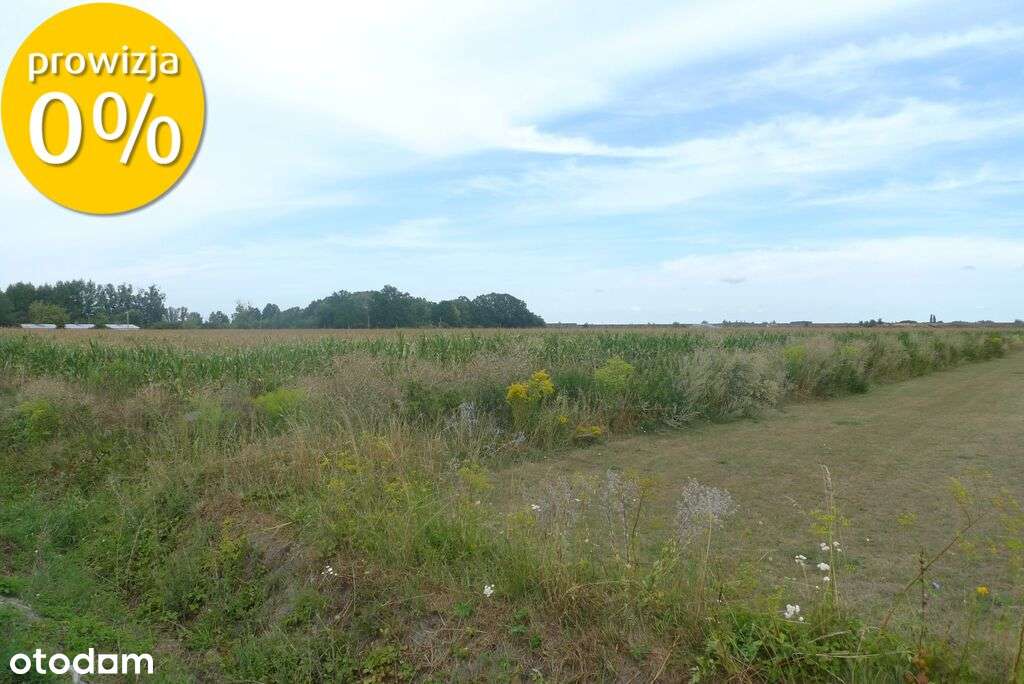 3.5 km od Grodziska, 600m od planowanego zalewu!-1