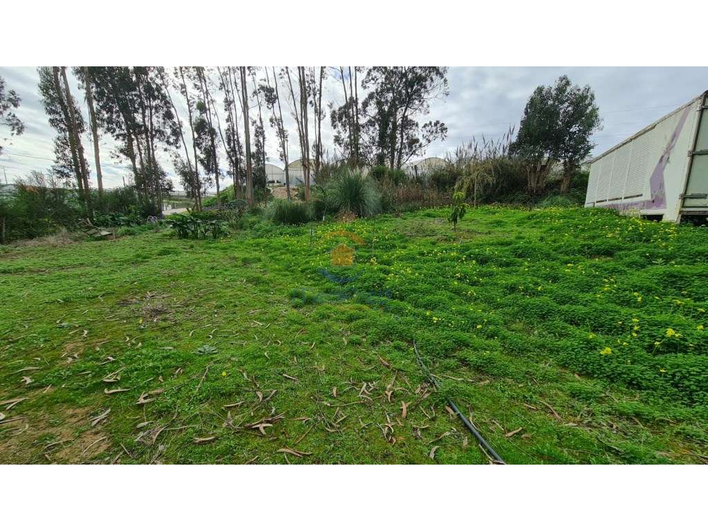 Terreno agrícola 2.000 m2 | A dos Cunhados, Torres Vedras - Grande imagem: 4/7