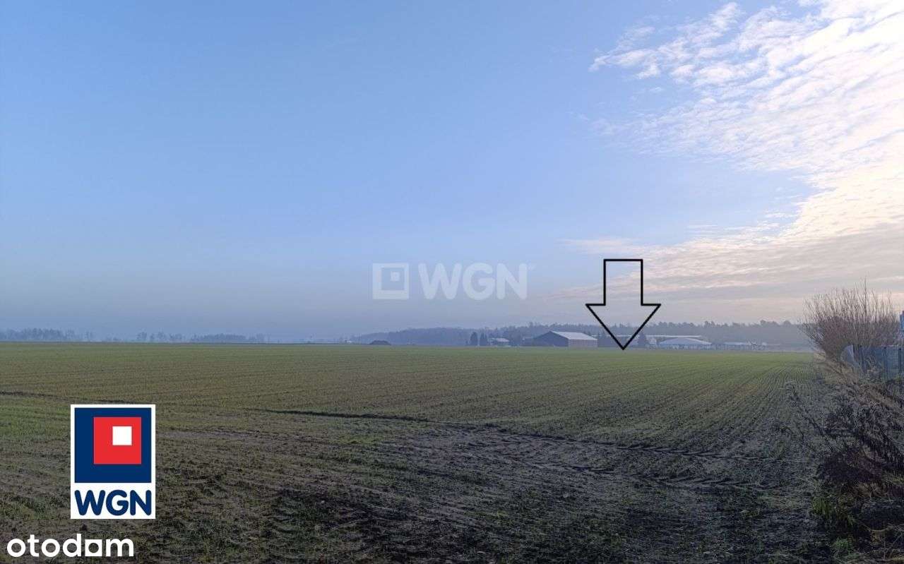 Teren komercyjny w obrębie DK 81 na sprzedaż! - Pełny obrazek: 3/18