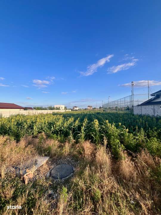 Teren de vanzare intravilan - sat Islaz Comuna Branesti - toate utilit - Imagine principală: 4/10