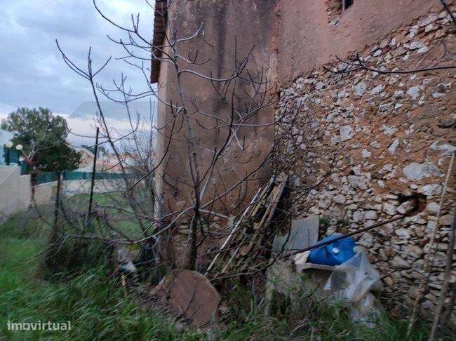 Moradia para reconstrução, com espaço exterior - Barão de São Miguel - Grande imagem: 3/6