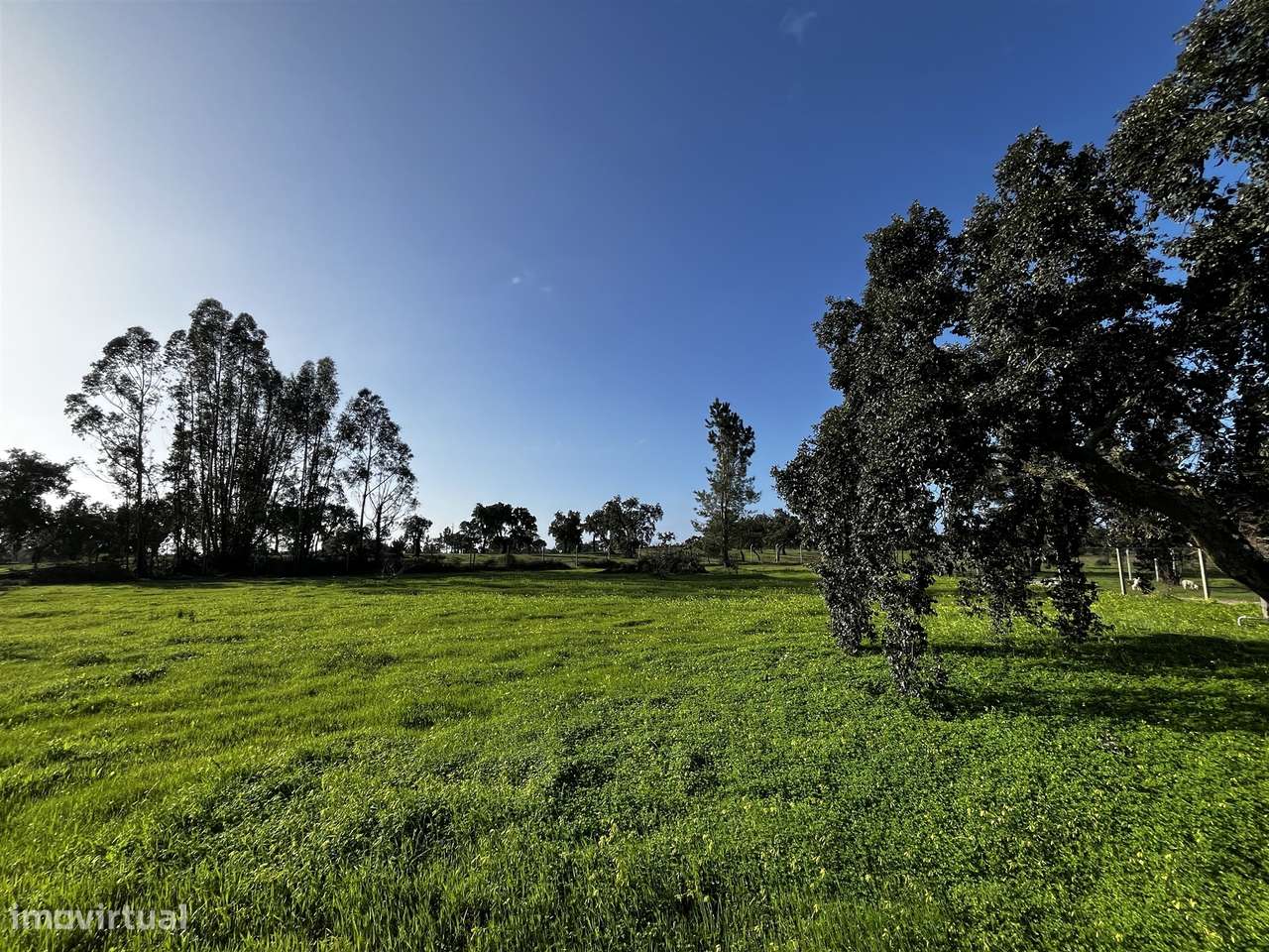 Terreno Urbano  Venda em Cortiçadas de Lavre e Lavre,Montemor-o-Novo-6