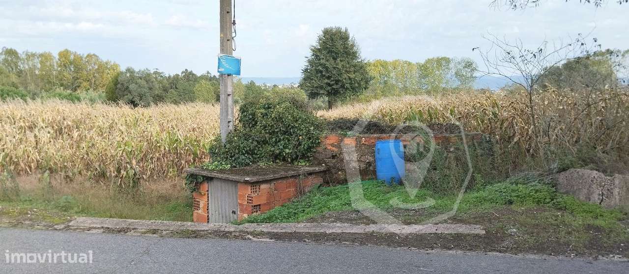 TERRENO PARA CONSTRUÇÃO MORADIAS - OLIVEIRA DO BAIRRO! - Grande imagem: 4/8