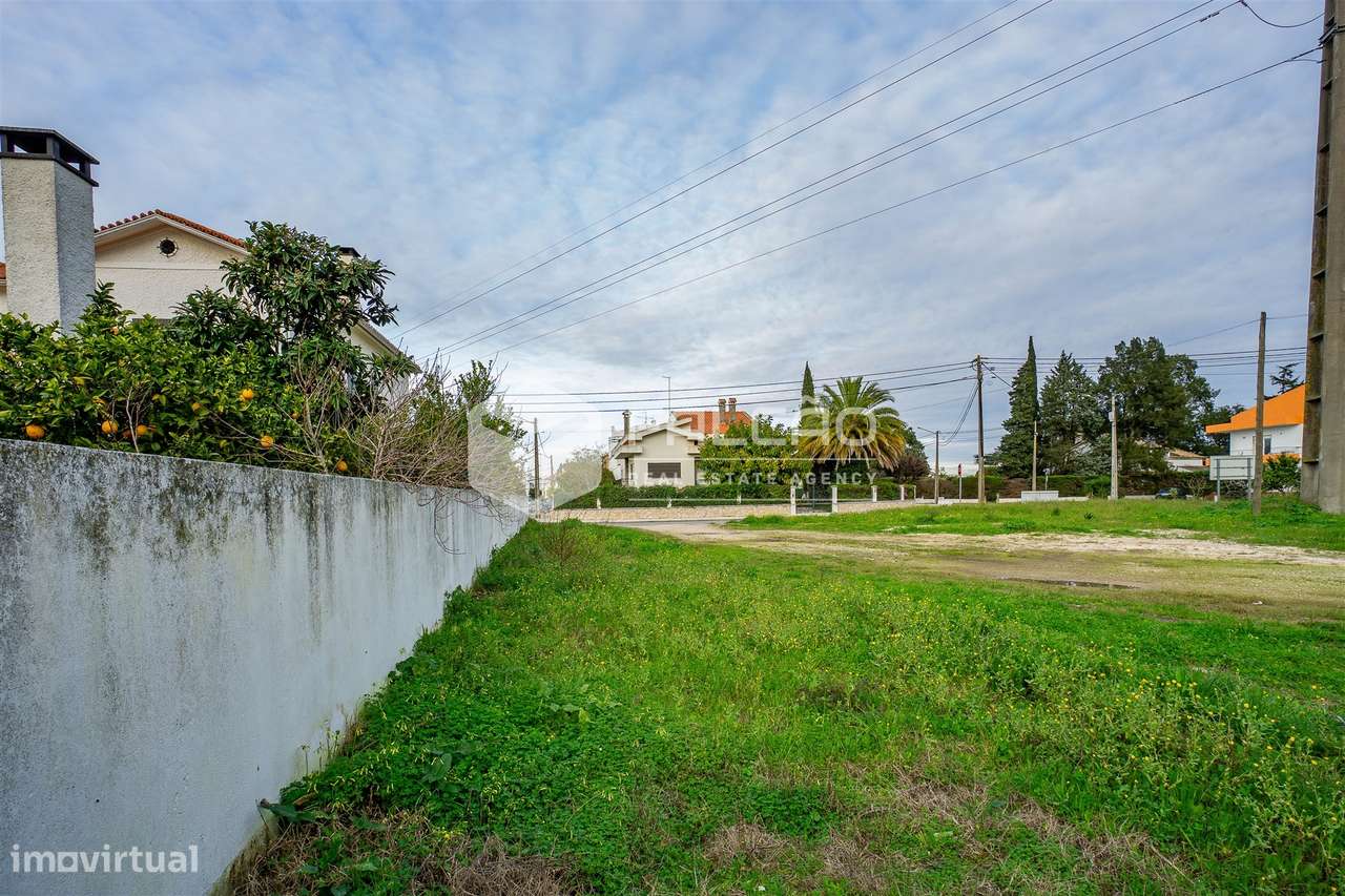 Lote de Terreno  Venda em Santarém (Marvila), Santa Iria da Ribeira de - Grande imagem: 5/30