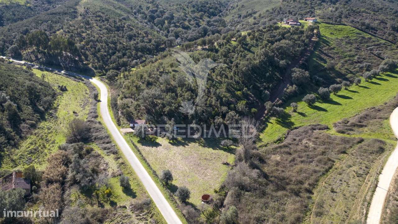 Quinta em São Martinho das Amoreiras. - Grande imagem: 5/27