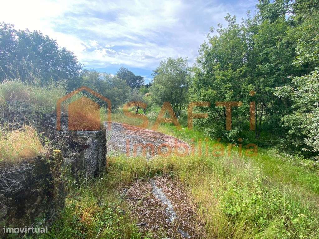 Terreno Viseu Construção Quinta com Moradia T2 e outras - Grande imagem: 3/42