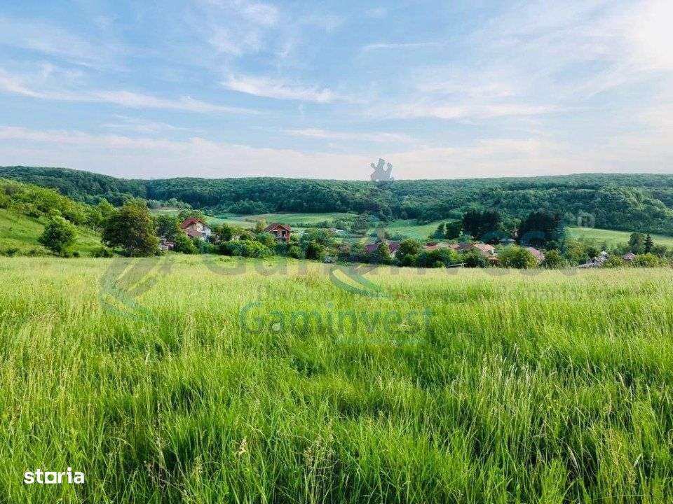 Gaminvest-Teren mixt de vanzare in Hidiselu de Jos, Bihor V2896 - Imagine principală: 3/3