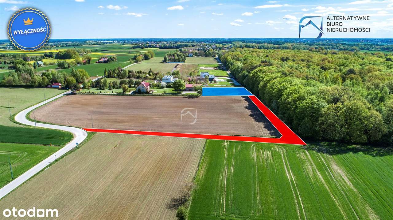 Działka budowlana pod lasem w Smugach - Pełny obrazek: 5/14