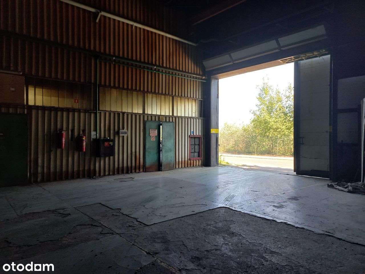 hala magazynowa, produkcyjna - bezpośrednio - Pełny obrazek: 4/7