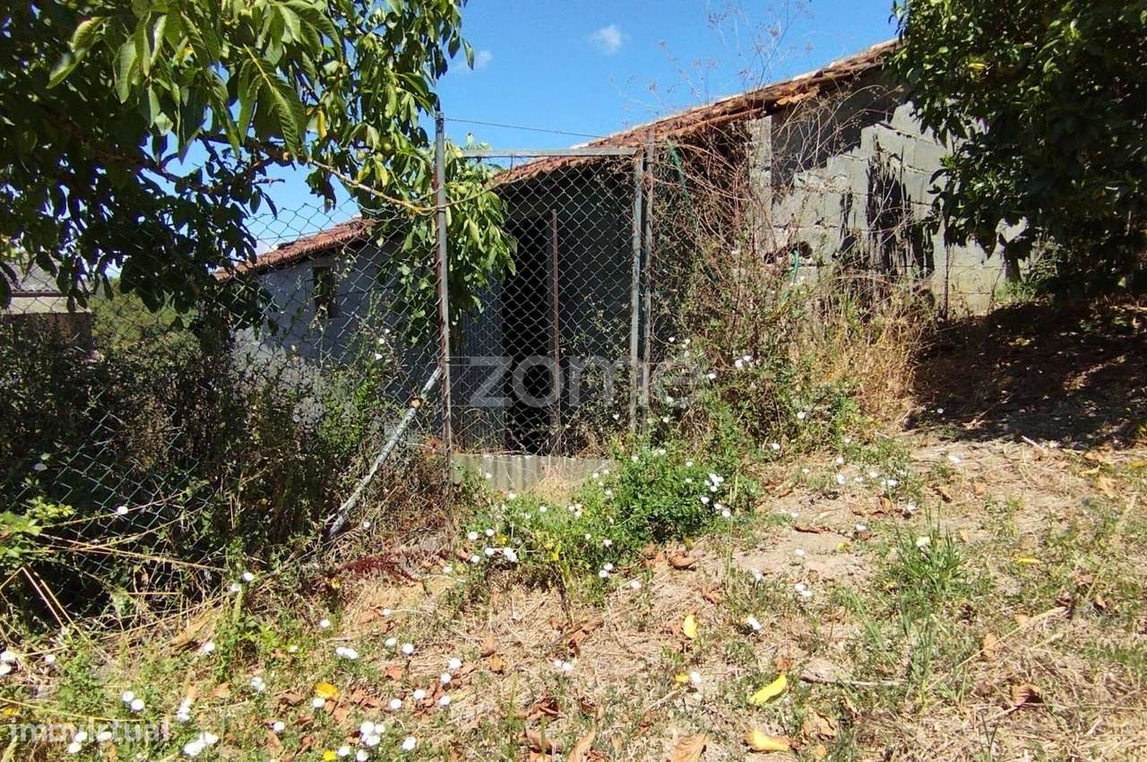 Terreno Almagreira-9