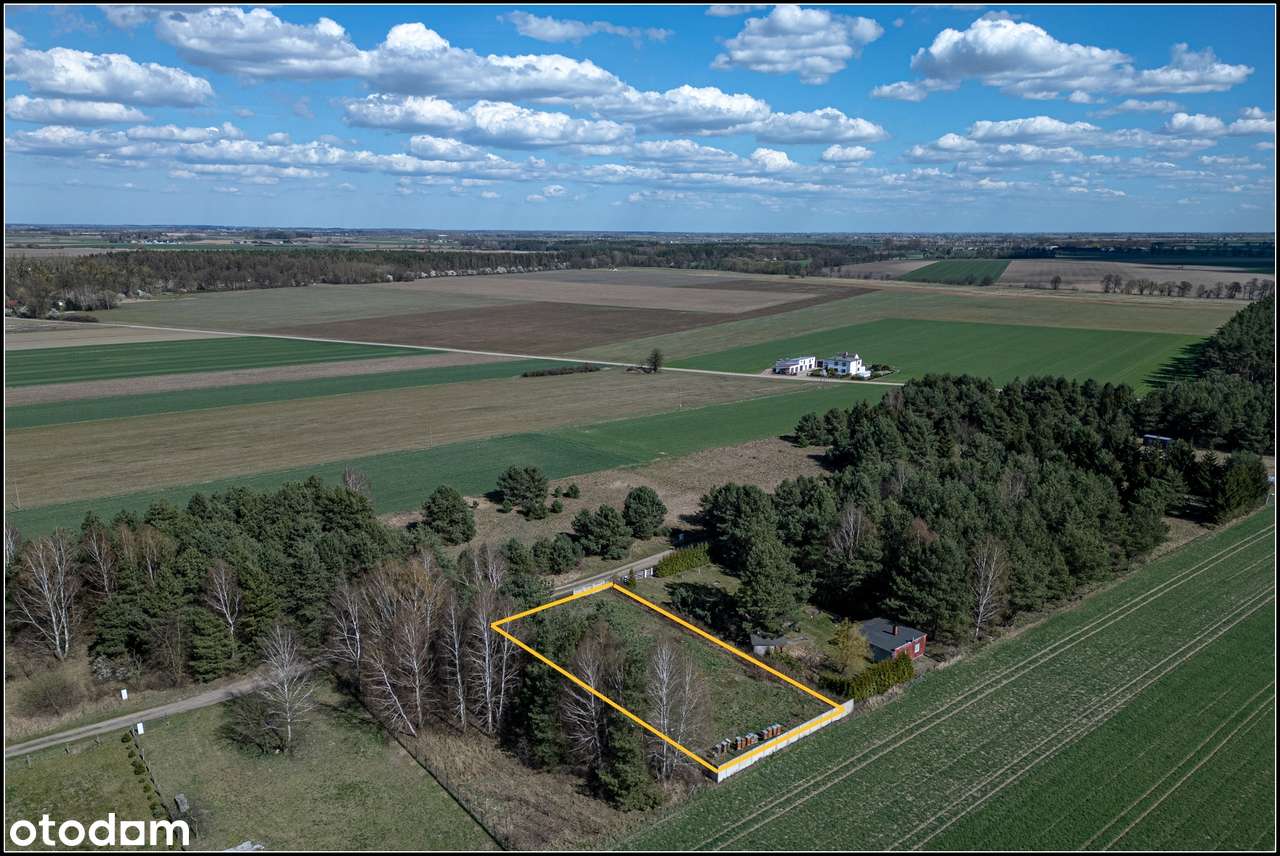 Ogrodzona działka rolna w Bednarach – inwestycja w ciszę i przestrzeń-4