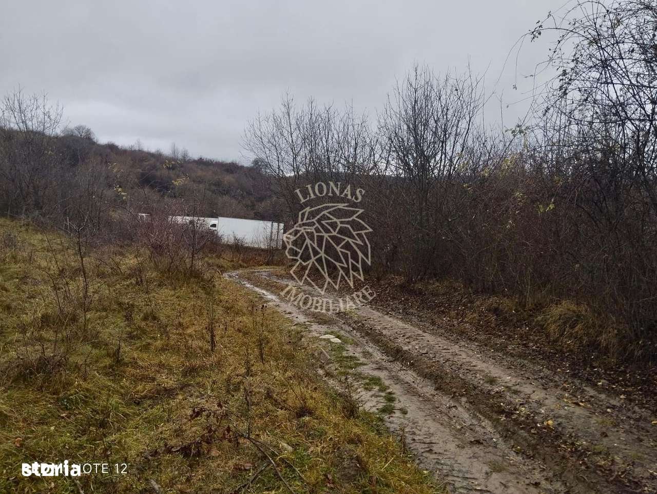 Teren 1000 mp-ideal casa de vacanta, investitie-Zona Valea Budacului - Imagine principală: 2/4