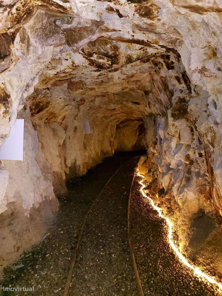 Quinta 5.3 ha, Covilhã-46