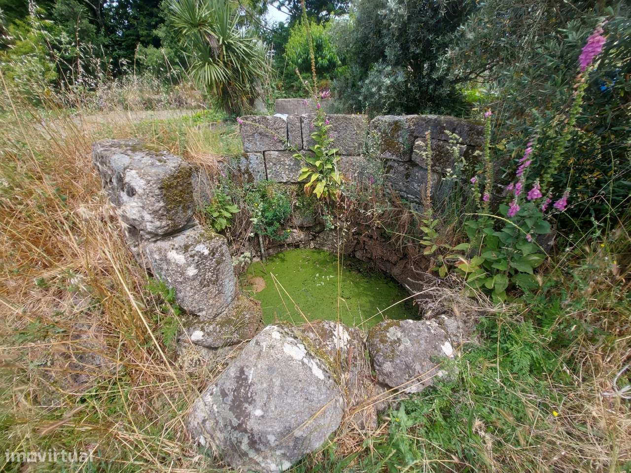 Terreno, Viseu, Tondela, Tonda - Grande imagem: 4/4