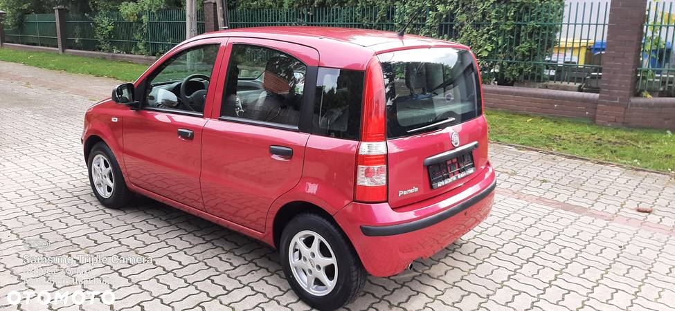 Fiat Panda 1.2 Dynamic Plus - 3