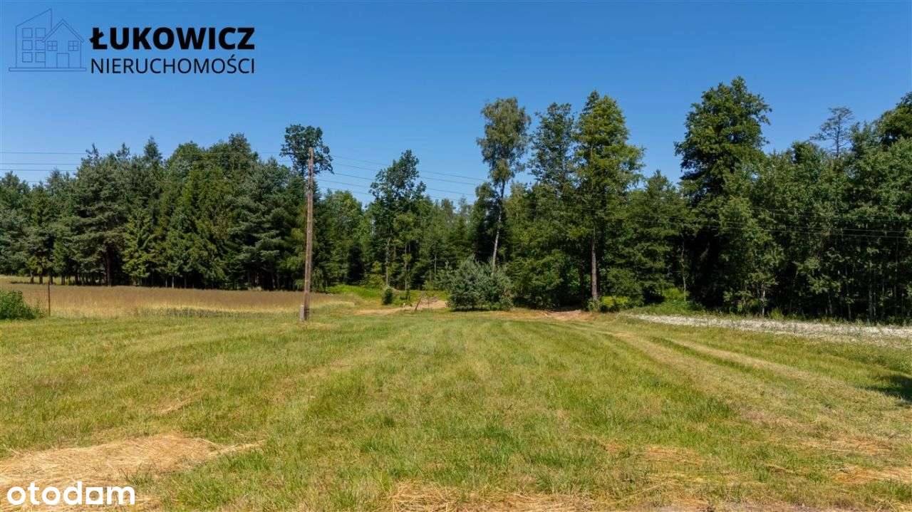 Działka 3057 m² w sąsiedztwie lasu! Dankowice - Pełny obrazek: 4/20