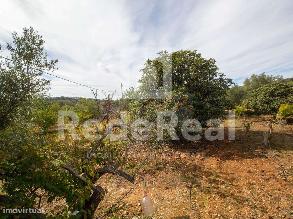 Moradia com 1. 556 hectares com furo e água da rede-19
