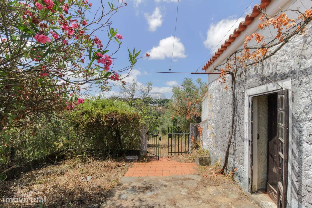 Quintinha de 2.995 m2 c/ moradia V2 e poço. - Grande imagem: 4/24