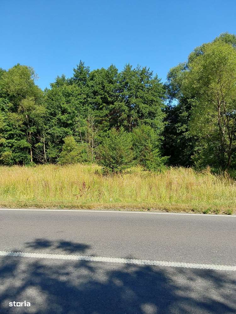 TEREN INTRAVILAN ÎN MARGA-LA DN68 JUD.CARAȘ-SEVERIN - Imagine principală: 3/9