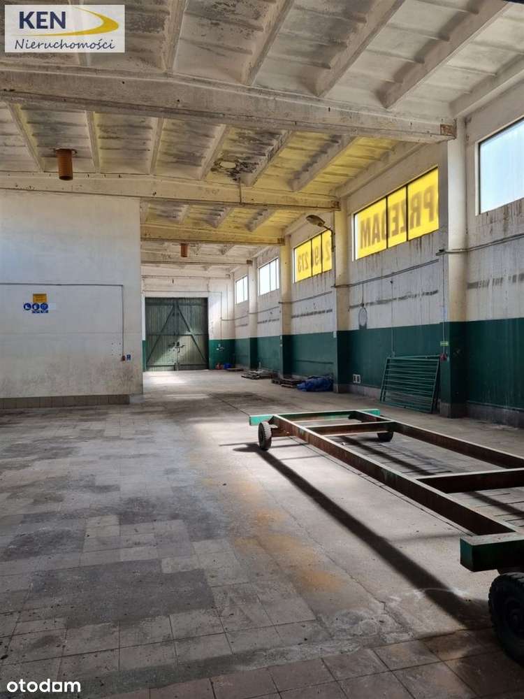 Działka inwestycyjna z halą-7