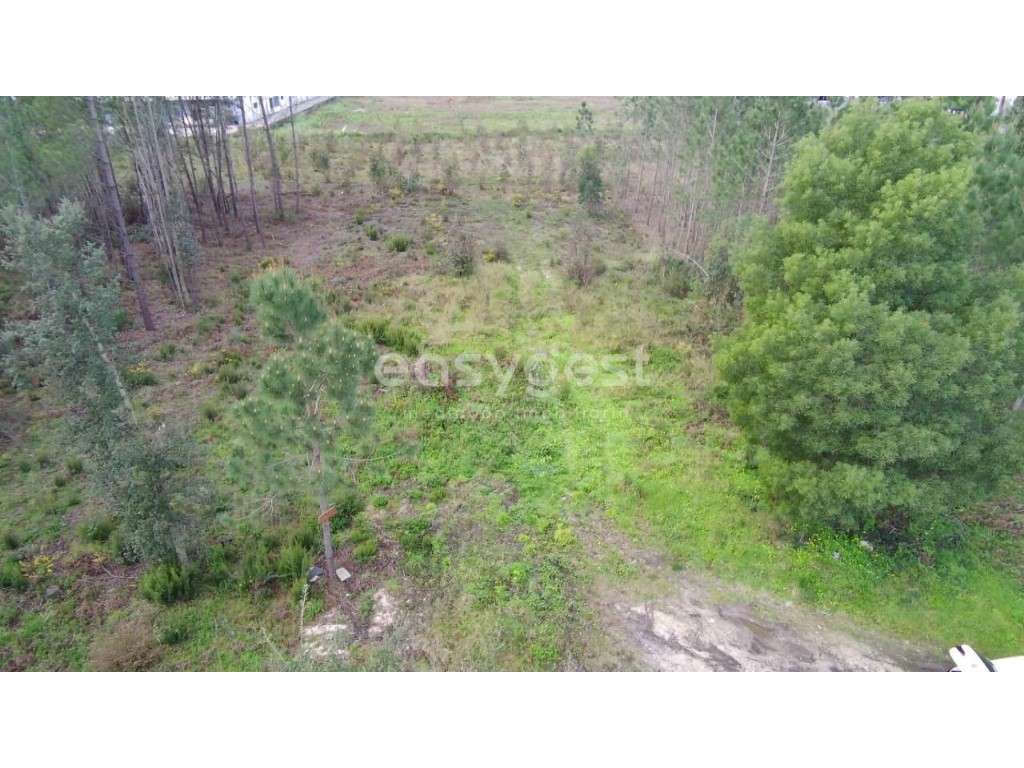 Terreno com 2120 m² para Construção Industrial na Martingança - Grande imagem: 3/16