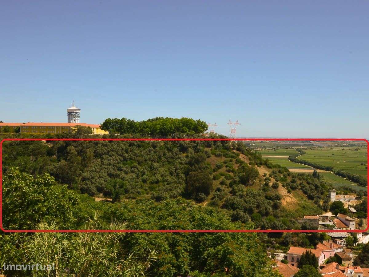 Moradia em Ruínas com Vista para o Rio Tejo - Grande imagem: 5/32