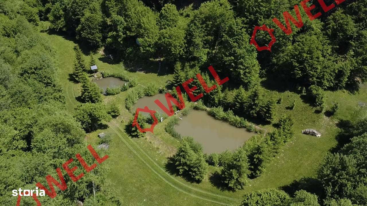 Cabana deosebită de vânzare între Valea Zălanului și Malnaș! - Imagine principală: 5/20