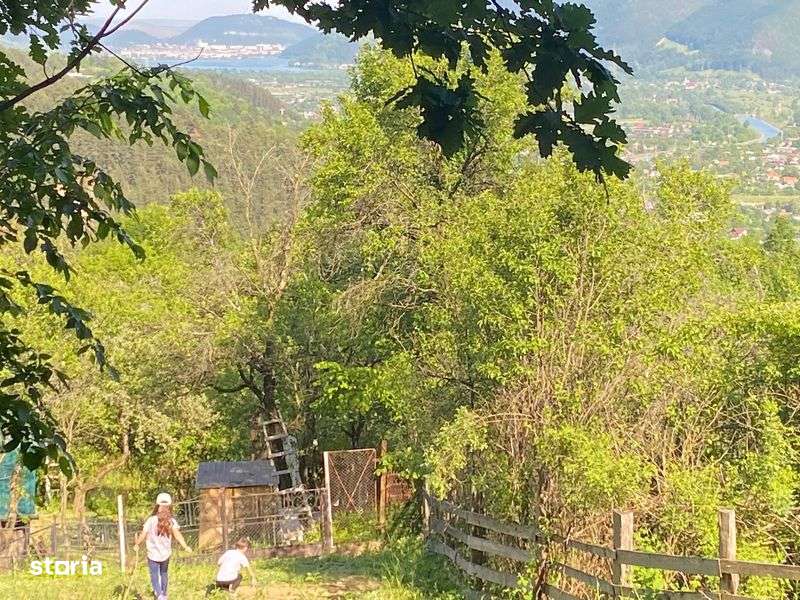 Vand urgent - Teren Scaricica, Pangaracior - Imagine principală: 5/6