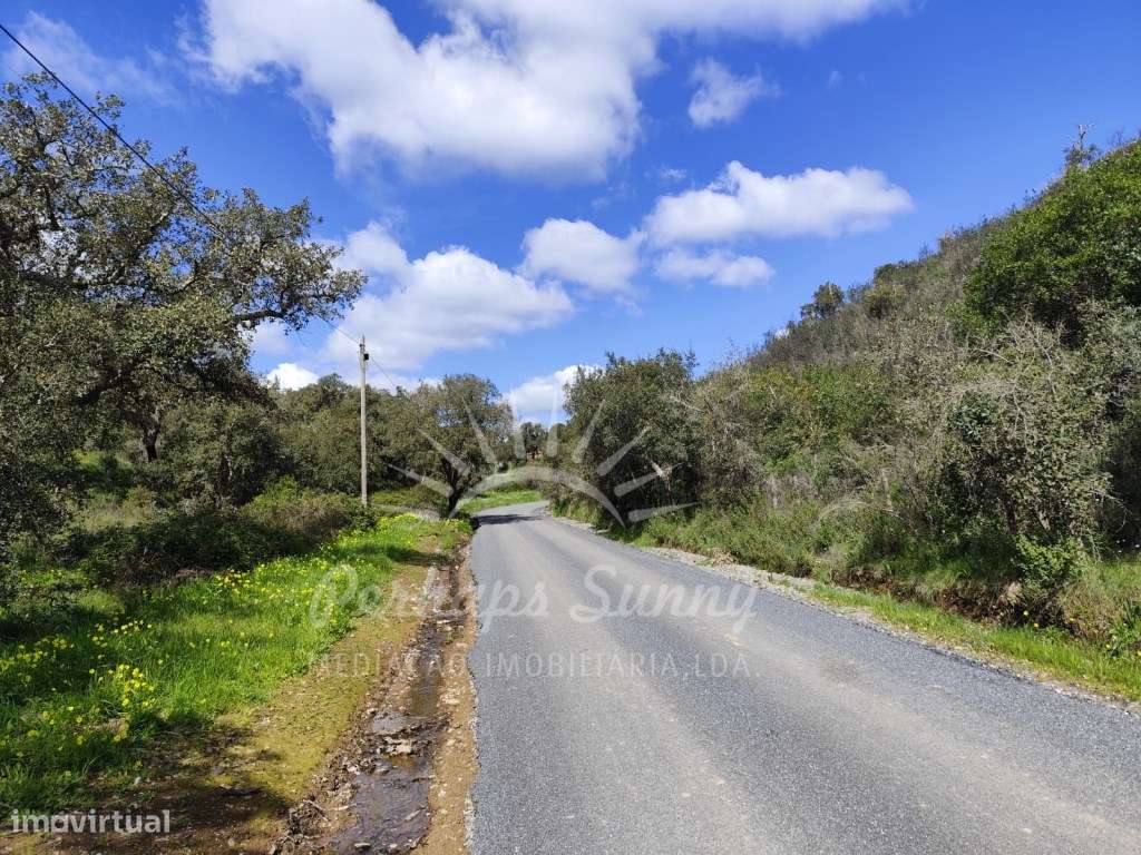 Terreno Rústico - Santa Margarida da Serra - Grande imagem: 4/5