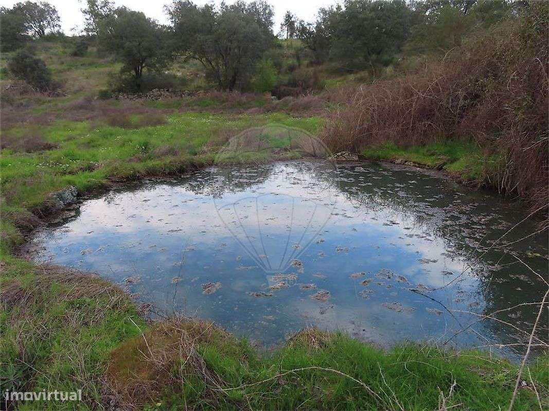 Quinta  para venda - Grande imagem: 2/50