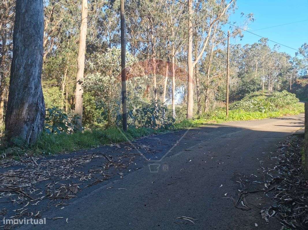 Terreno  para venda - Grande imagem: 3/5