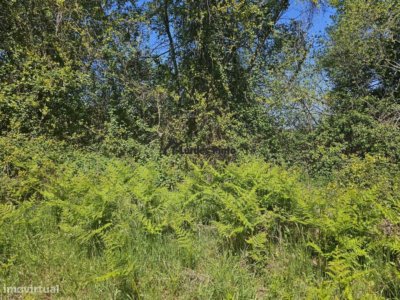 Quinta com construção em pedra perto do rio-12